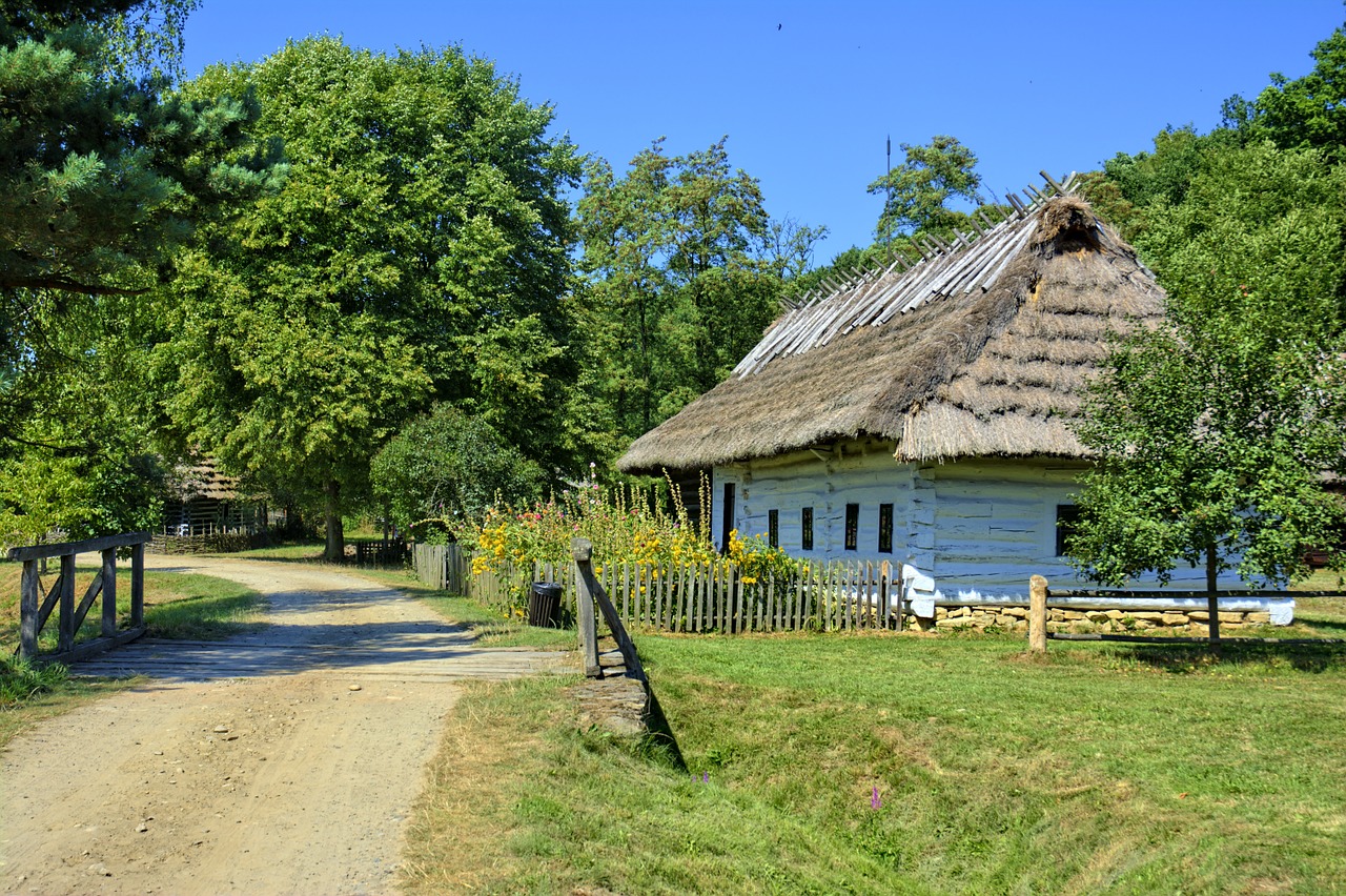 Wieś, Polska